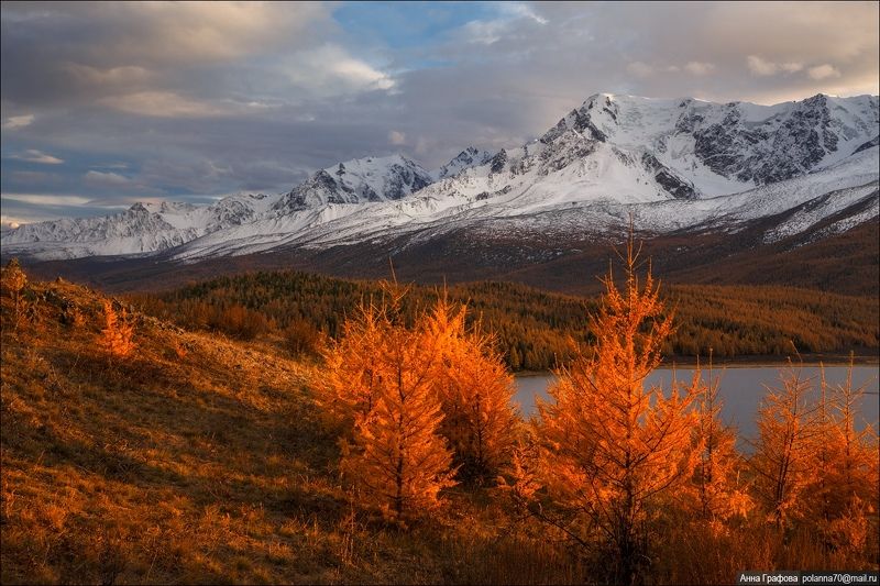 алтай,  горы, горный, алтай, северо-чуйский, хребет,  закат,  #красиваяосень2018 Тепло осеннего заката фото превью