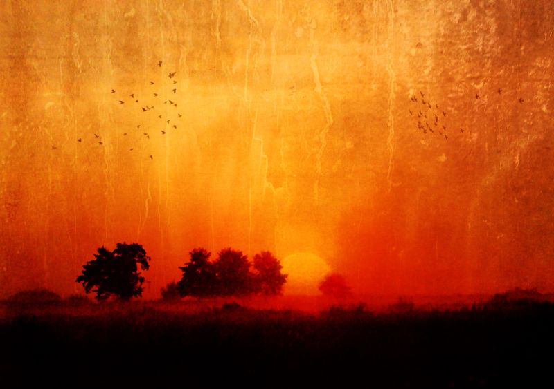 Red Morning... фото превью