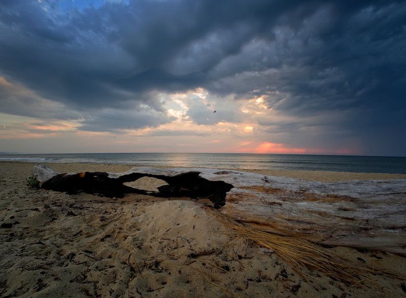 In the end of the summer фото превью