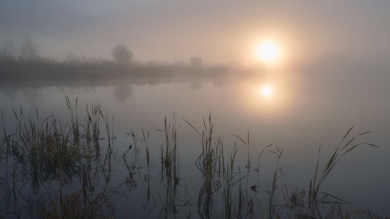 утро, озеро,туман,солнце,болотная трава ,рогоз,morning, lake, fog, sun, marsh grass, cattail *** фото превью
