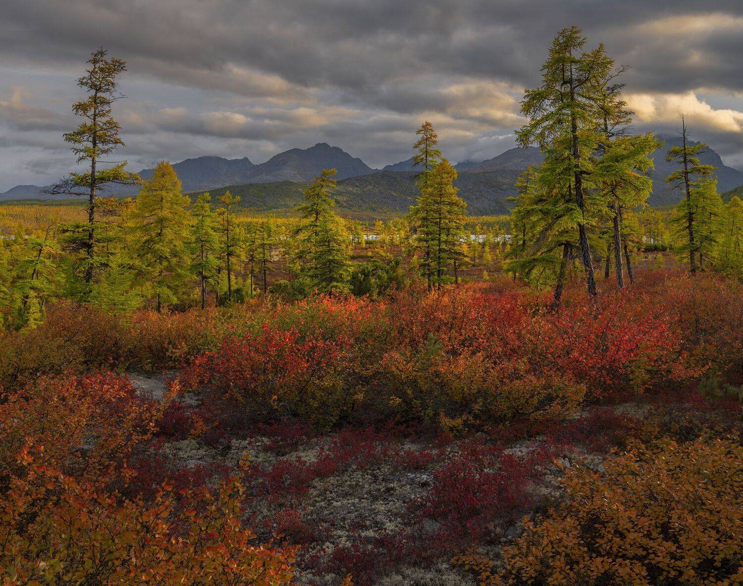 фототуры с владимиром рябковым., Владимир Рябков