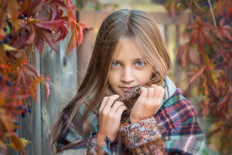осень. девочка. глаза. Наша осень фото превью
