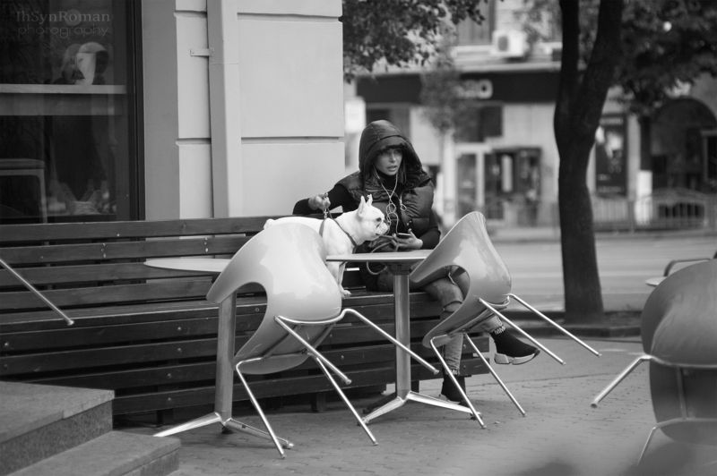 город,улица,человек,собака *** фото превью