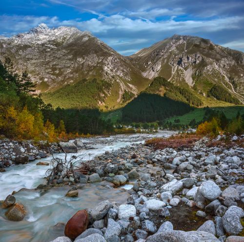 Осеннее утро