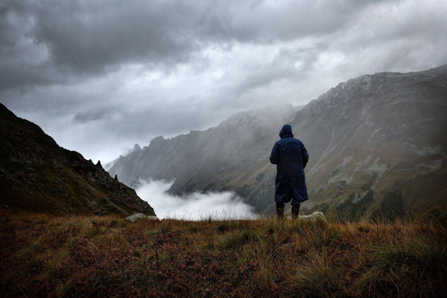 , Сергей Гокк