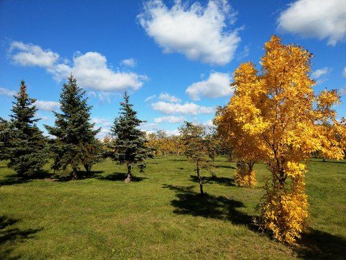 Осеннее
