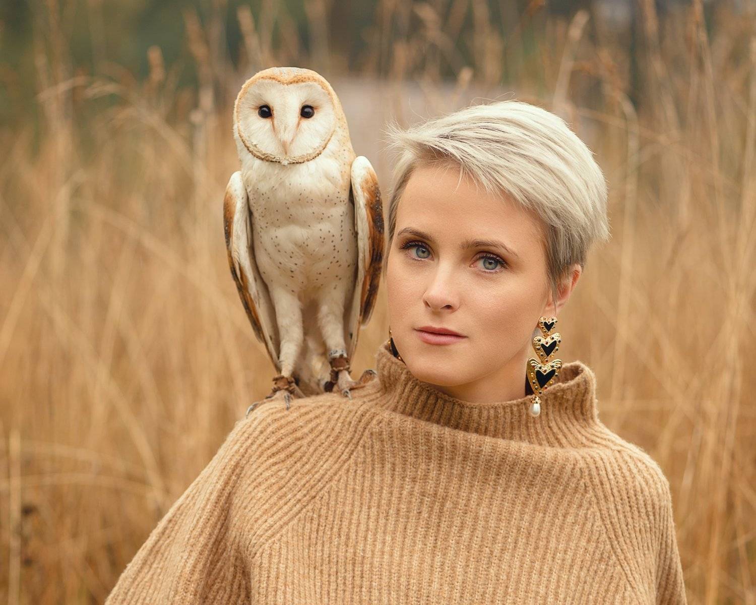 , Анастасия Добровольская