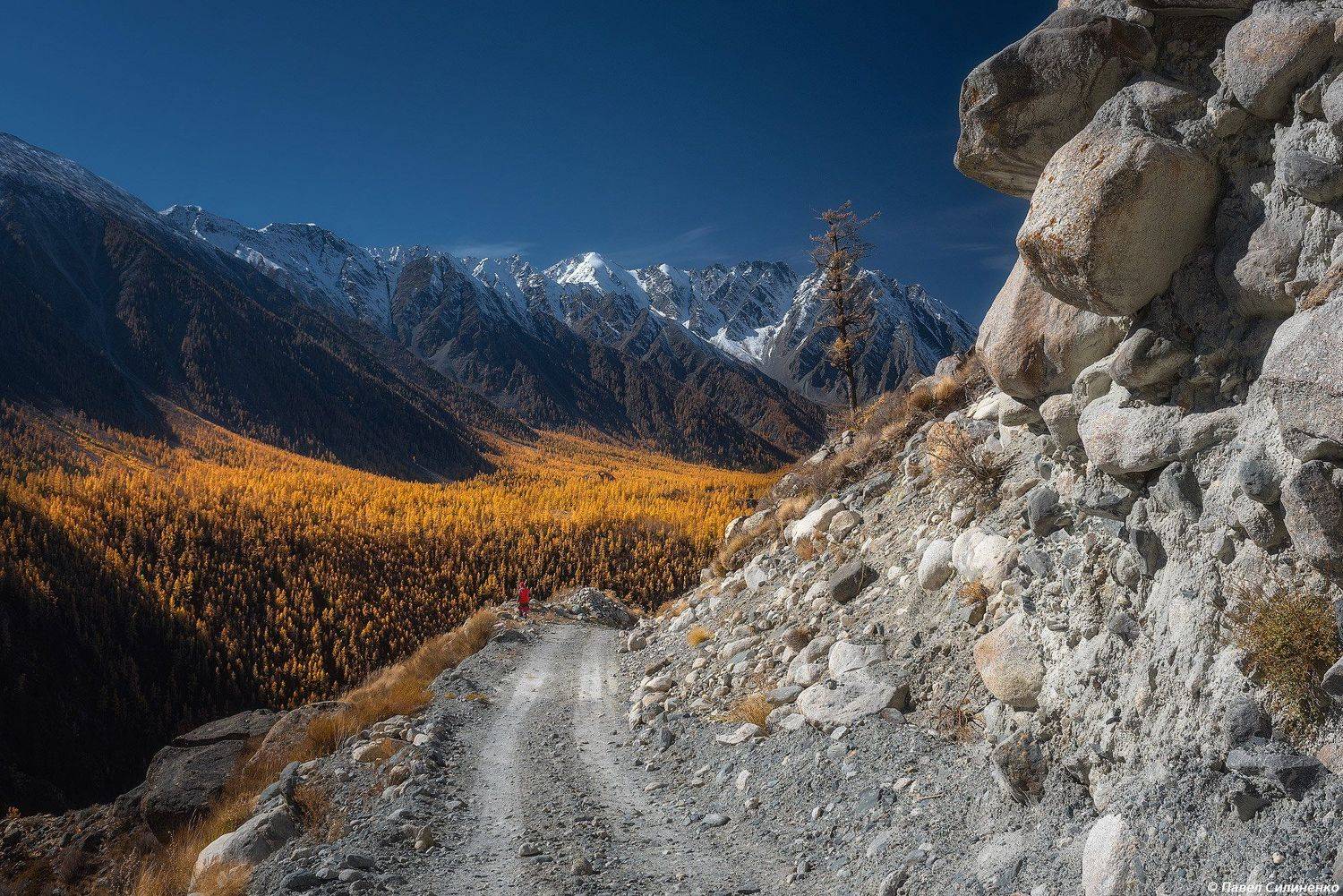 пейзаж, осень, скалы, свет, солнце, желтый, алтай, горы, Павел Силиненко