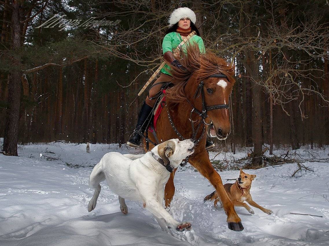 , игорь перфильев