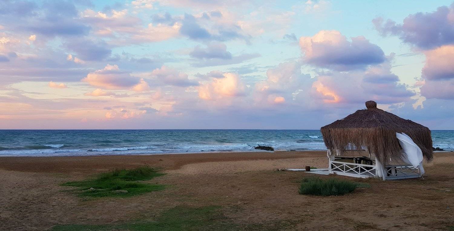 , Игорь Дубровский