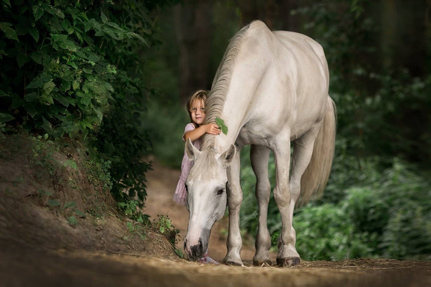 девочка, лошадь, лето, дети, животные, прогулка, Юлия Динмухаметова