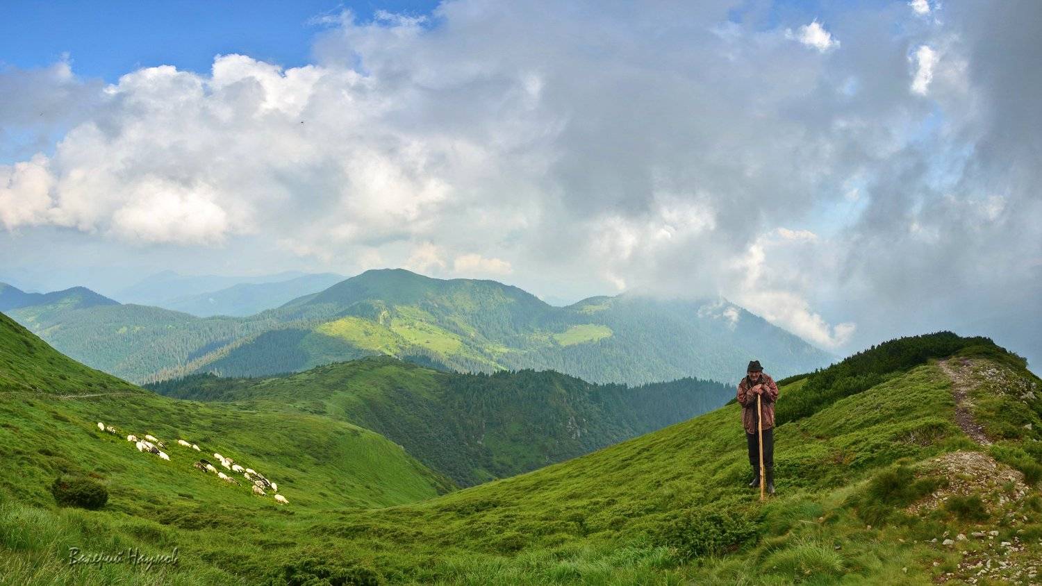 карпаты, горы, мармароссы, овцы, небо, облака, пастух, Валерий Наумов