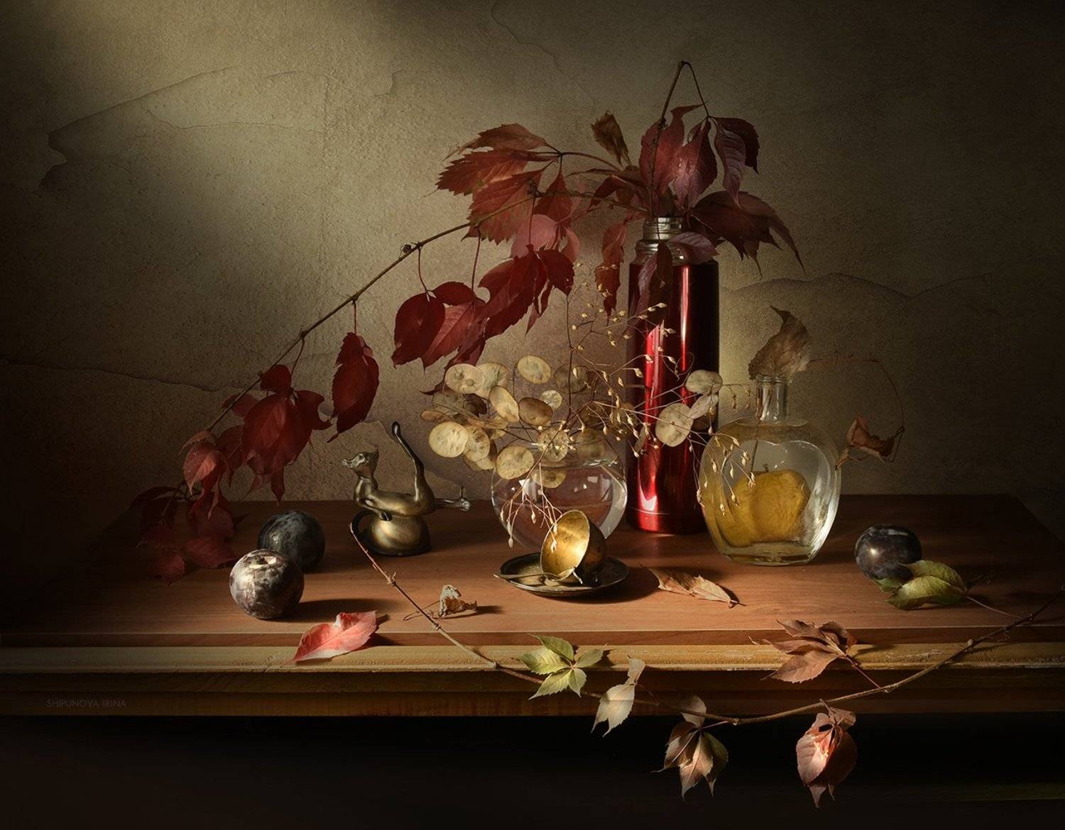 , Шипунова Ирина