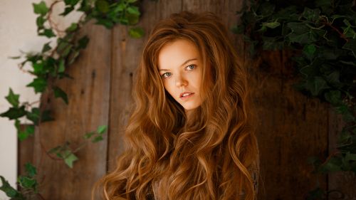 Darina
