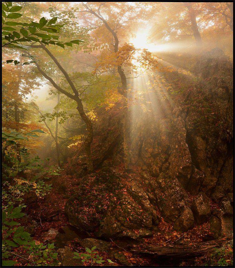 , Владимир Метцгер