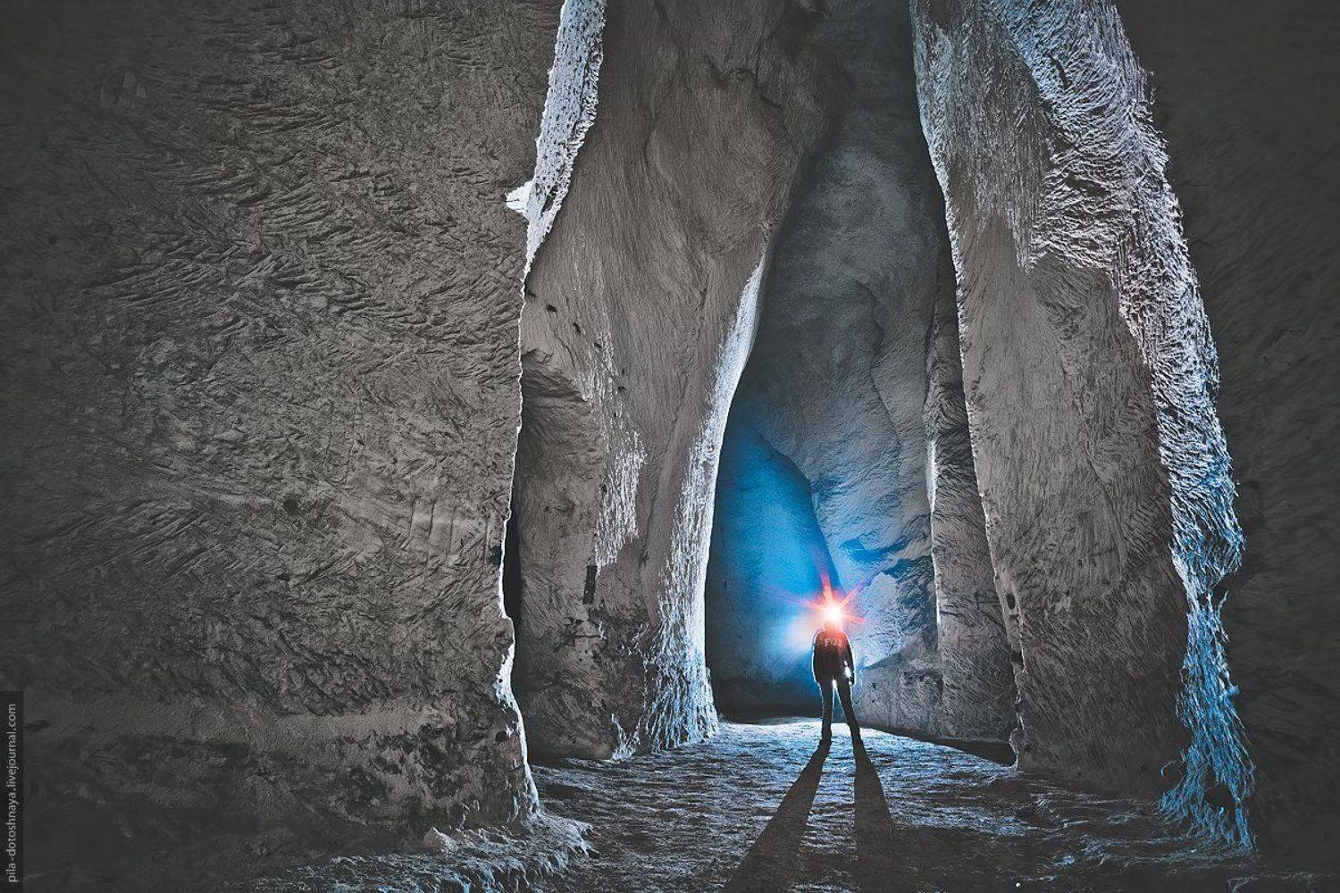 , Анна Аринова