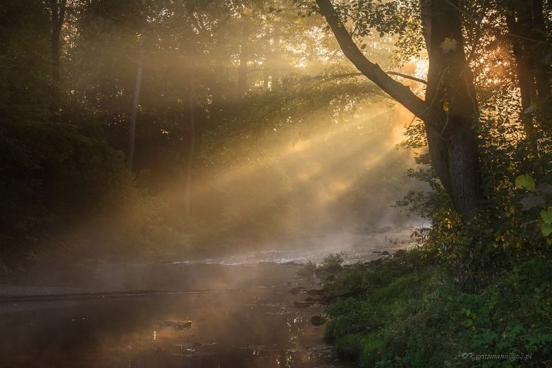golden river фото превью