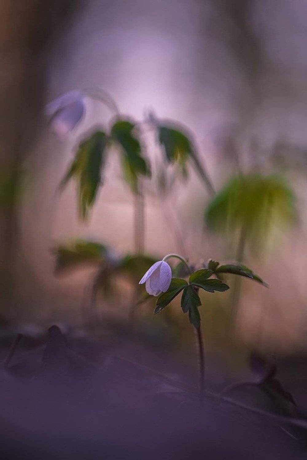 , Вячеслав Мищенко