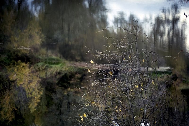 ... фото превью