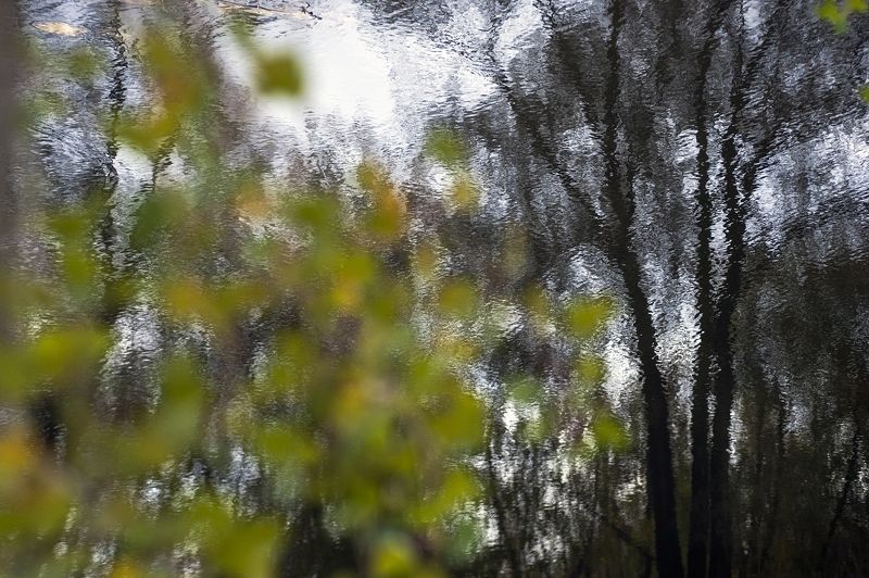 ... фото превью