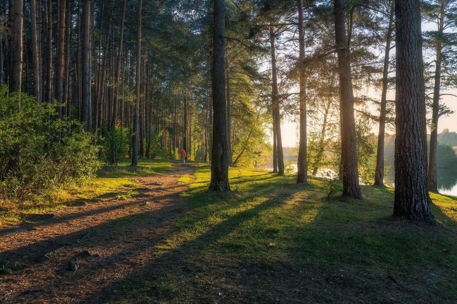 landscape, sunset, пейзаж, закат, Мартыненко Дмитрий