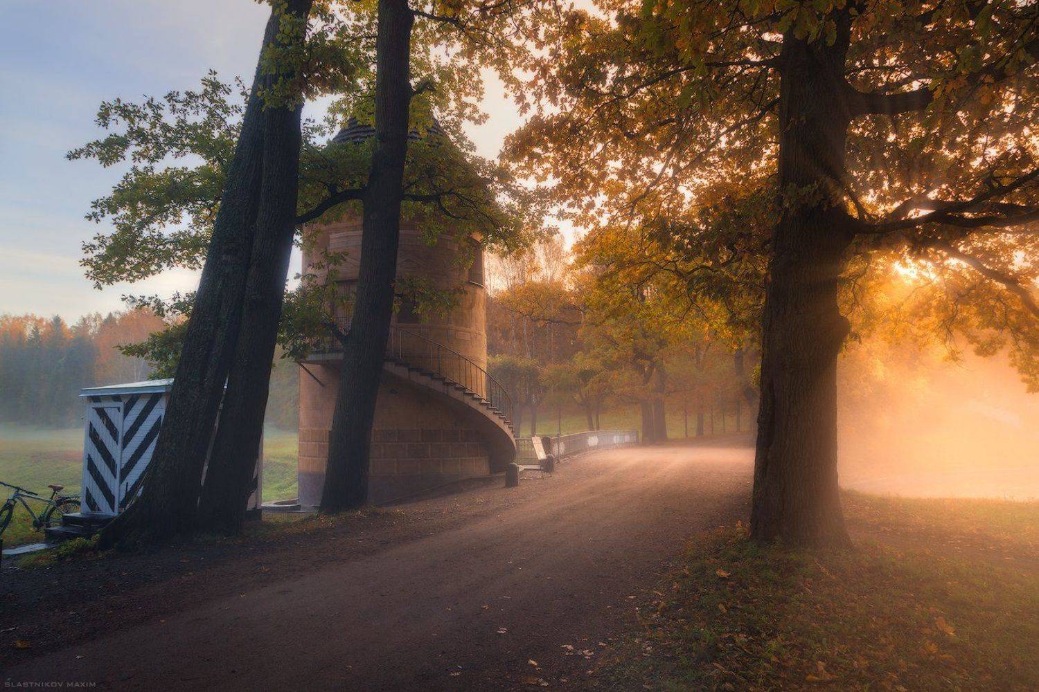 Павловск, осень, листья, цвет, краски, туман, солнце, рассвет, путешествия, река, башня, сказка, деревья, мост, дорога, road, trees, park, forest, sun, sunrise, fog, travel, alone, bridge, sky, wind, explore, outdoor, tower, Максим Сластников