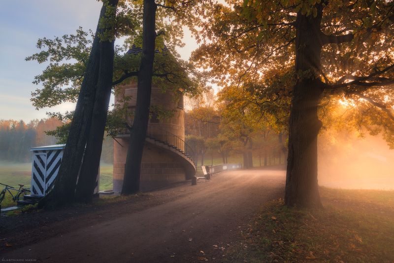 Павловск, осень, листья, цвет, краски, туман, солнце, рассвет, путешествия, река, башня, сказка, деревья, мост, дорога, road, trees, park, forest, sun, sunrise, fog, travel, alone, bridge, sky, wind, explore, outdoor, tower Раннее утро фото превью