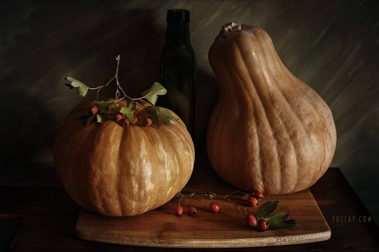 тыква, осень, боярышник, тыквы, бутылёк, Владимир Тузлай