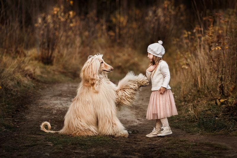 девочка, собака, лето, дети, животные, прогулка, осень Привет! Меня зовут Хоган! фото превью
