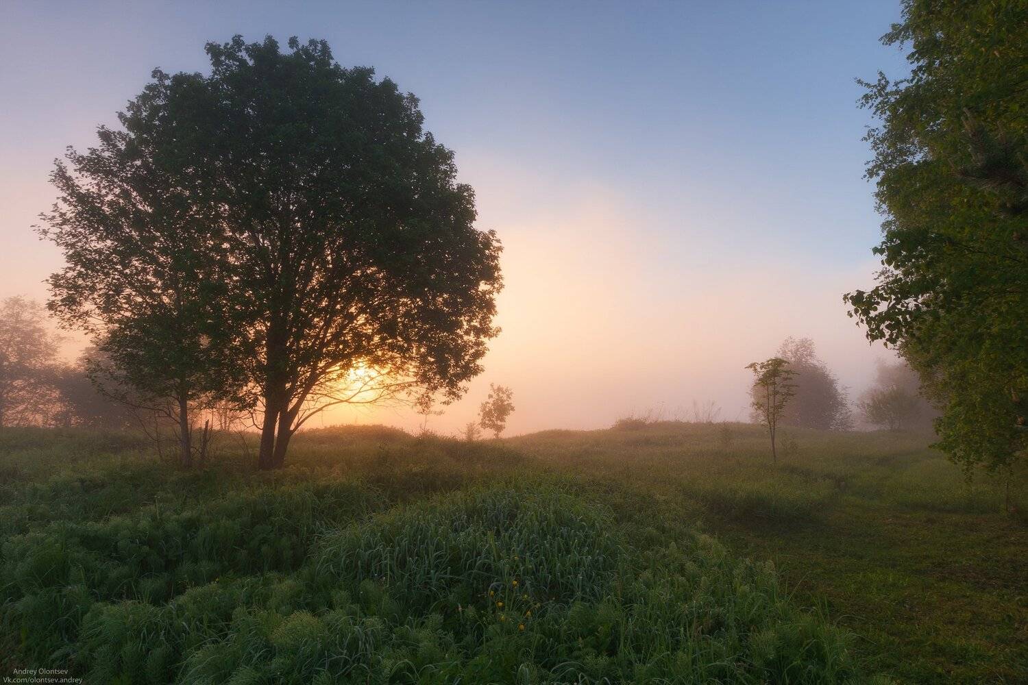 солнце, россия, рассвет, природа, подмосковье, погода, пейзажи, пейзаж, отражение, наукоград, красота, дубна, вода, весна, weather, water, spring, russia, reflection, naukograd, nature, moscow, landscape, dawn, canon dubna, beauty, Андрей Олонцев