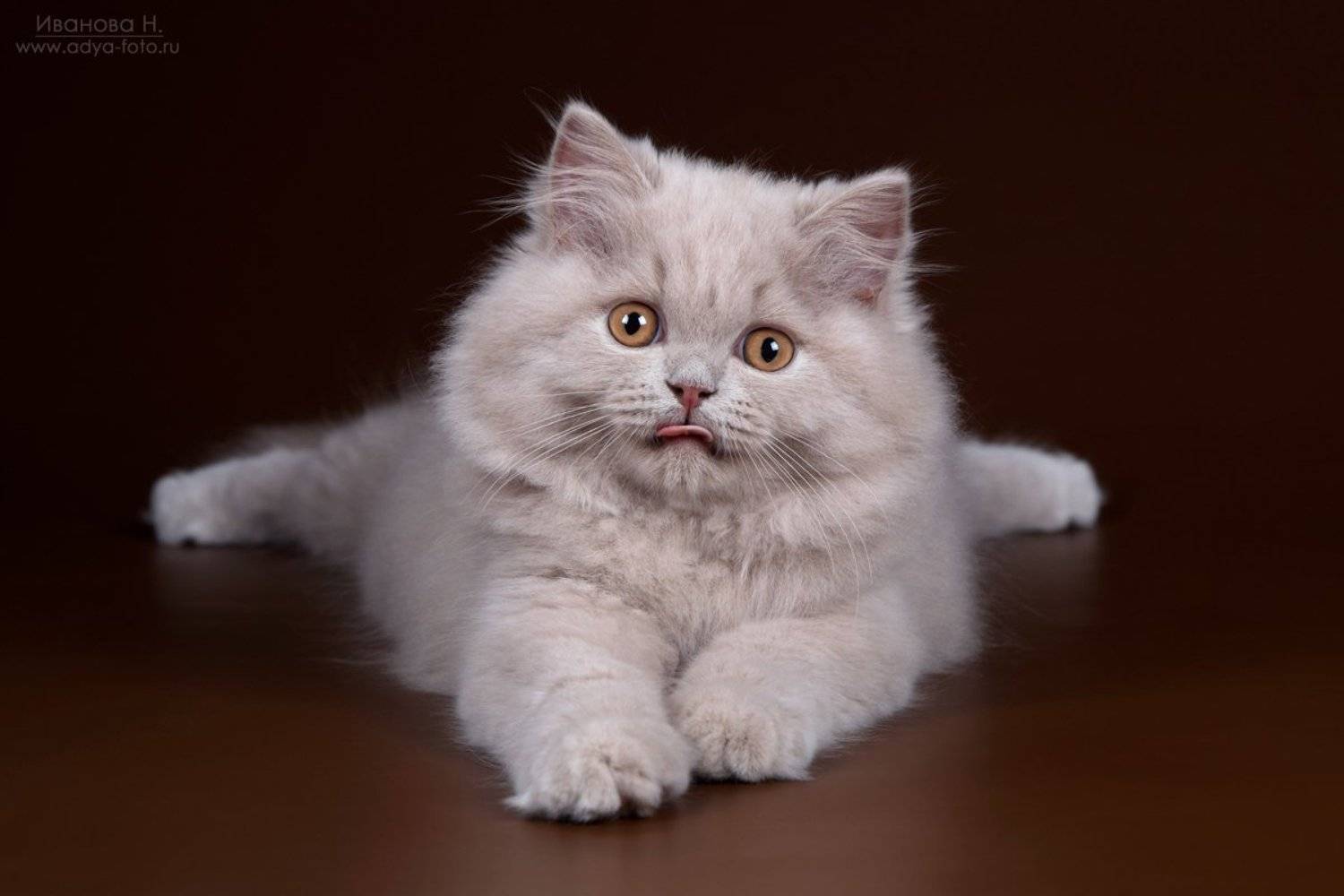 , Надежда Иванова