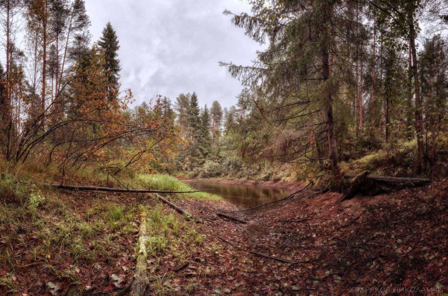 , Хохряков Николай