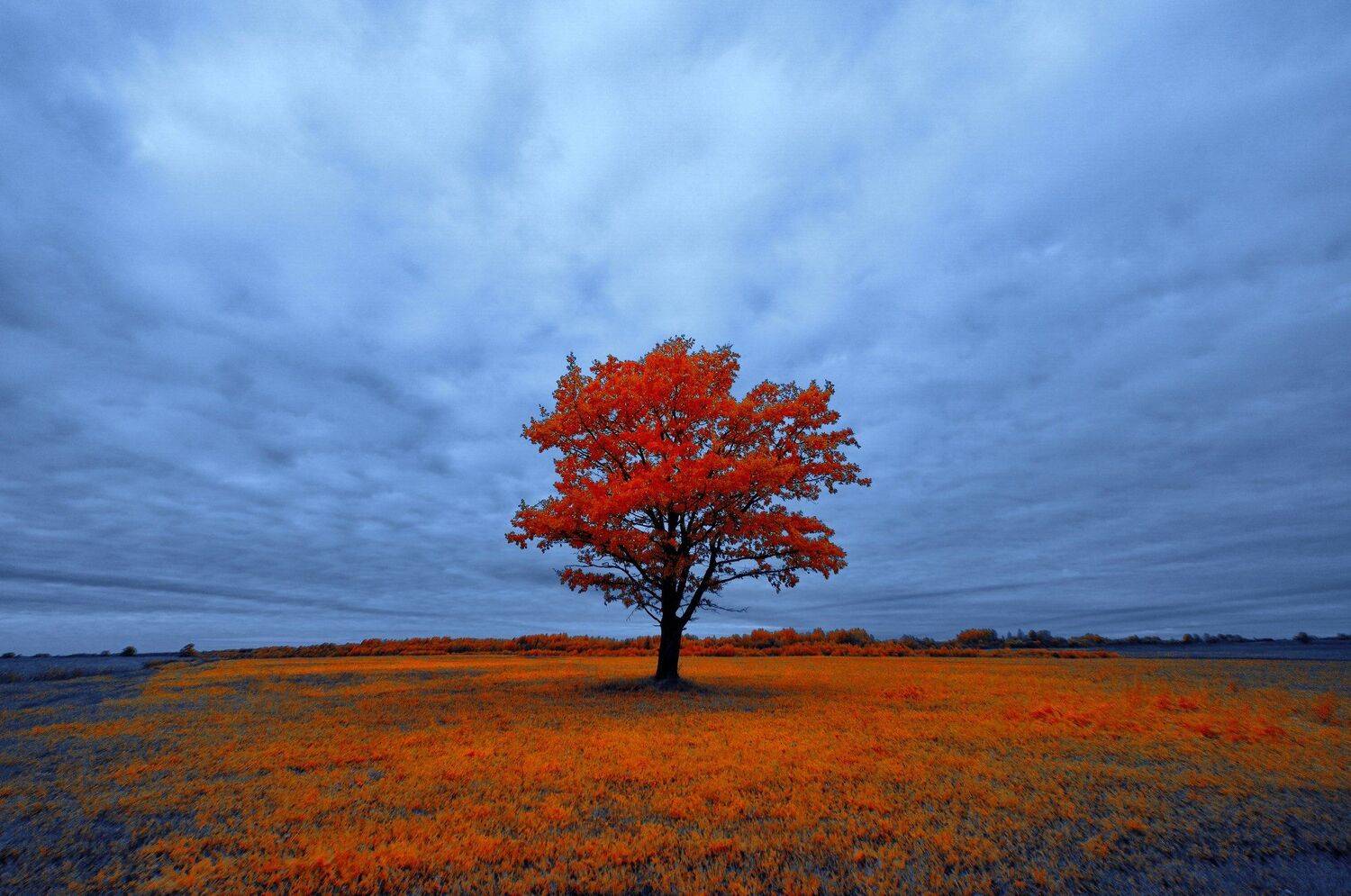 infrared,ик-фото,инфракрасное фото,инфракрасная фотография,пейзаж,природа,беларусь,осень, Sixten ( Сергей )
