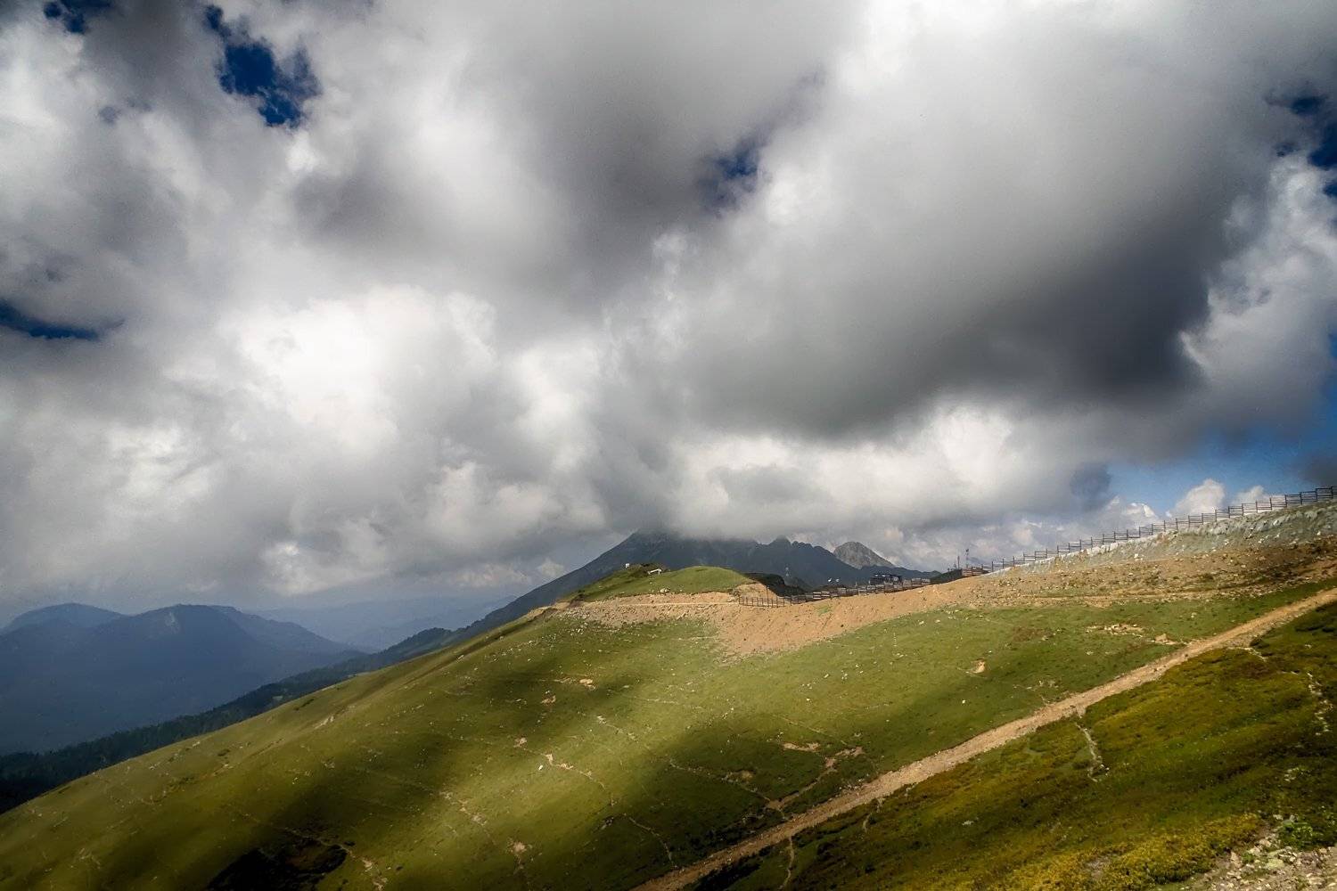 , Николай Шелепов