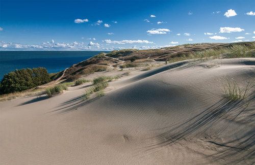 White dunes silence