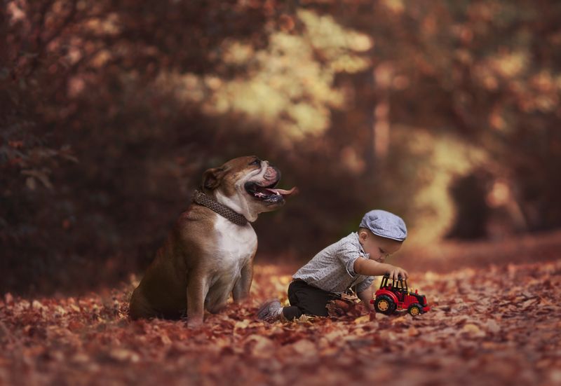 фото превью