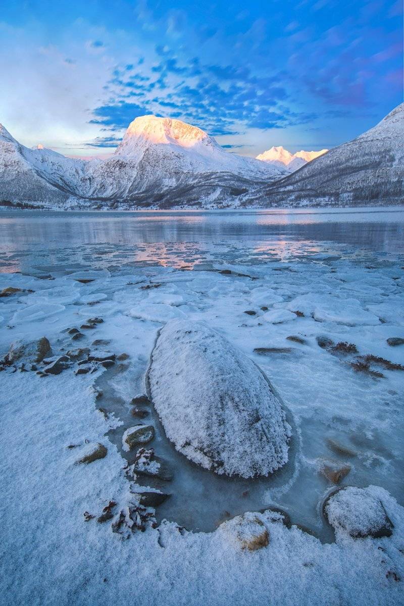 , Тодор Божков