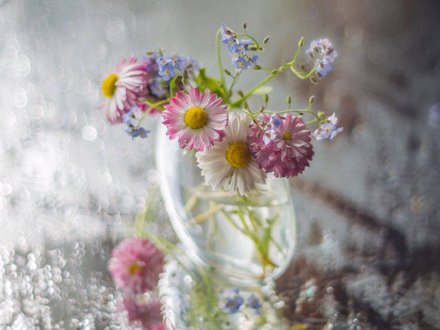 , Евгения Муравская