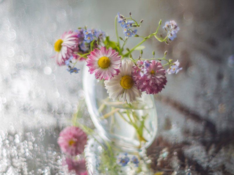 дачное  -2 фото превью