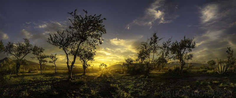 Golden Light Valley фото превью