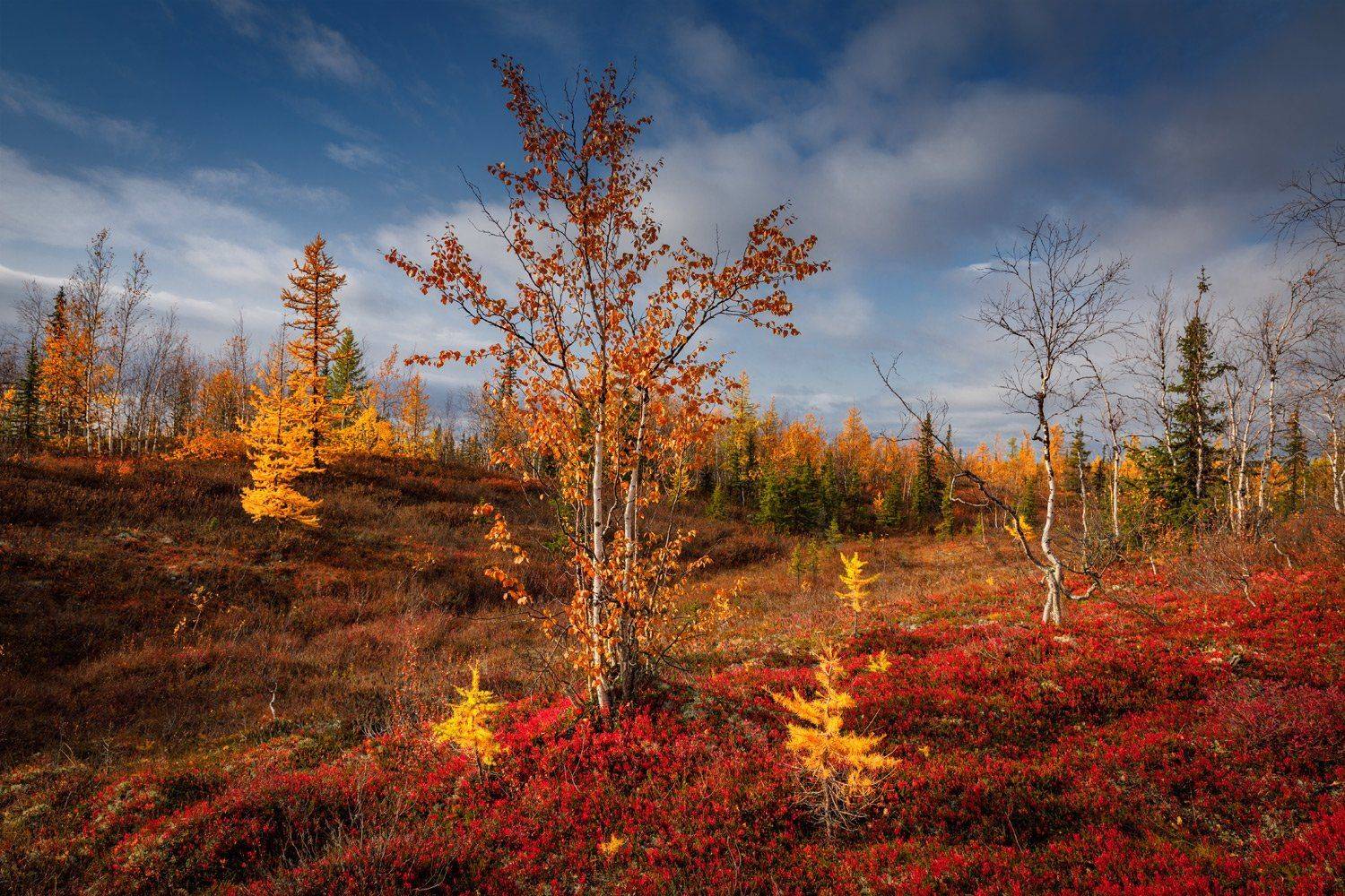 , Евгений Кужилев