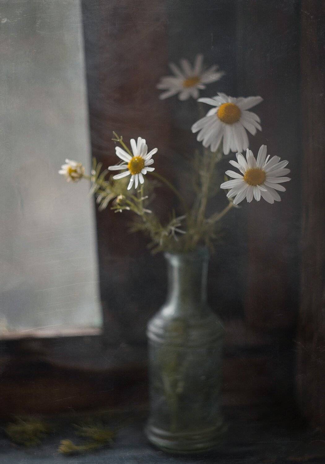 , Svoboda Andreeva