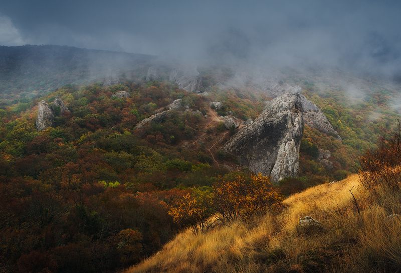 крым, осень, осень в крыму, крымские горы, горы, туман, октябрь, ноябрь, россия, путешествия, золотая осень, туризм, золотая осень в крыму Магия осени в горах Крыма фото превью