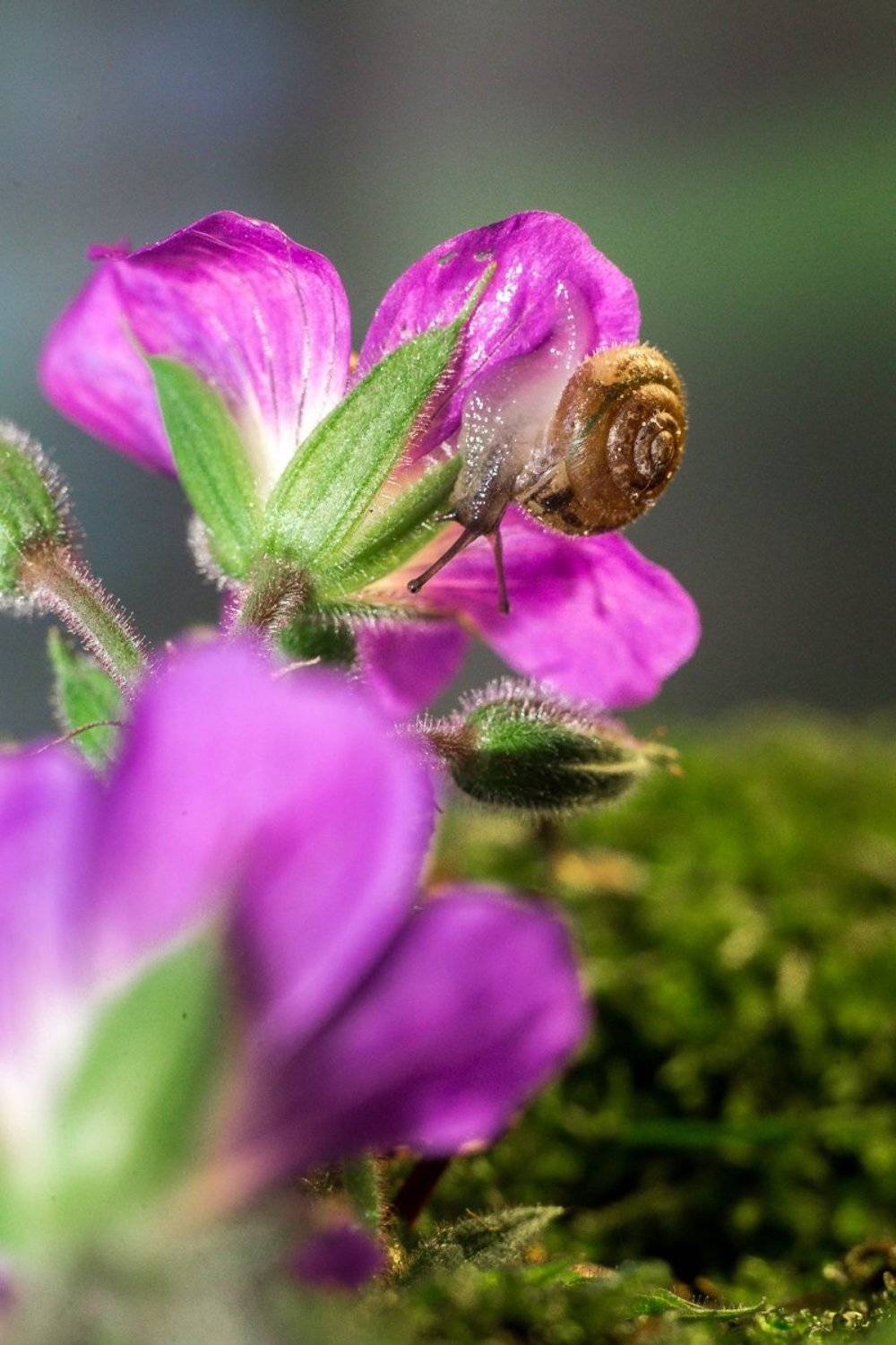 , Гилева Ольга