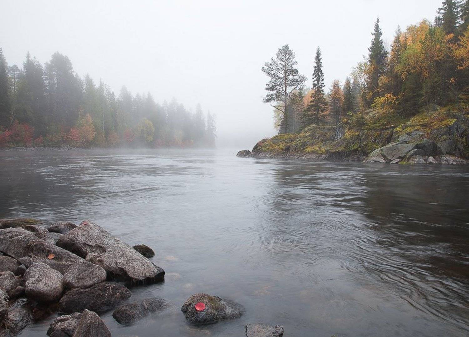 карелия, национальный паанаярви., Сергей Захаров.