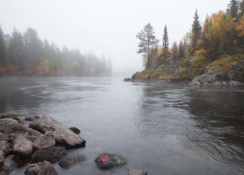 карелия, национальный паанаярви. Осени туманное течение. фото превью