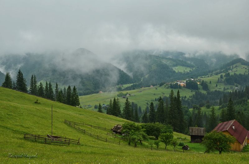 карпаты, горы, туман, червона рута Про туманы и червону руту фото превью