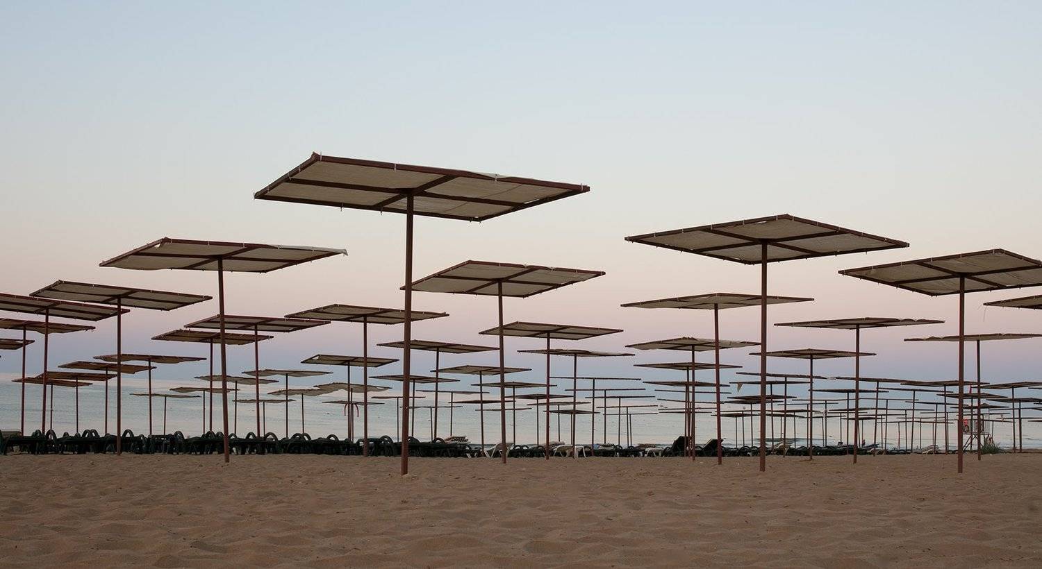 , Игорь Дубровский