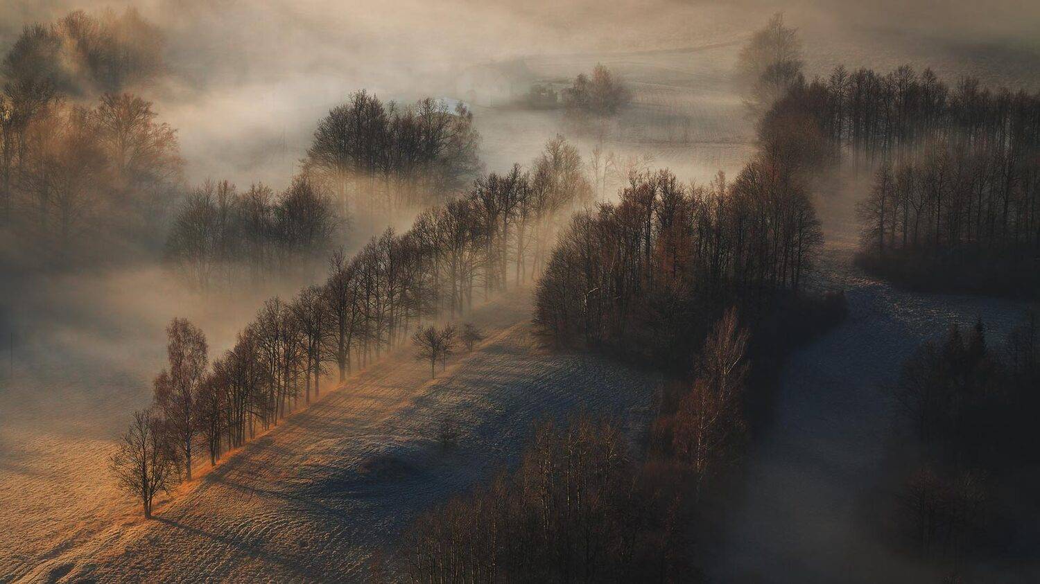 landscape,canon,mist,light,autumn, Iza i Darek Mitręga