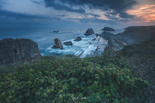 Playa de la Arnia